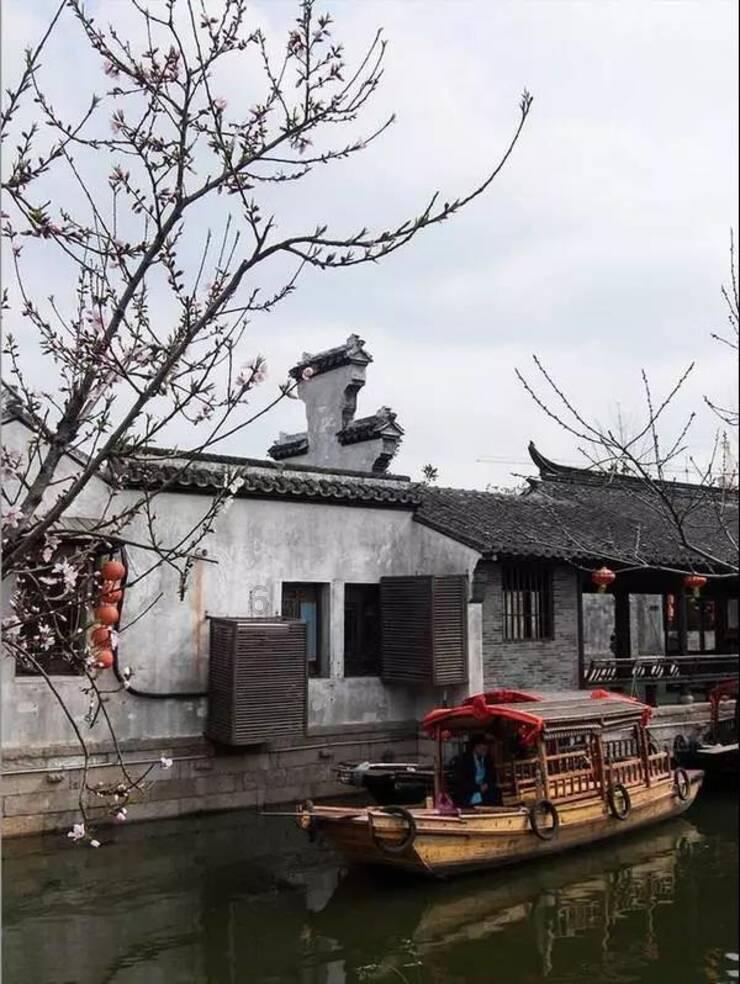 主人偷偷亲了母金毛一口，一旁的公金毛这表情才叫生无可恋